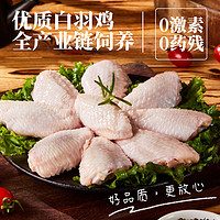中红 单冻鸡翅中500g/袋*3袋  卤味 生鲜食材