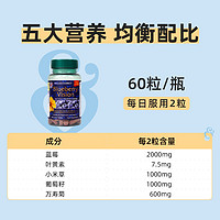 HOLLAND & BARRETT 英国进口HB荷柏瑞蓝莓护眼胶囊60粒/瓶蓝莓叶黄素润目润眼