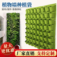 LISM垂直绿化植物墙壁挂立体阳台种菜挂墙边坡墙体种植袋槽盒布袋 1*1米64口平底 其他 大