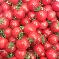 农大姐妹 圣女果西红柿小番茄新鲜水果千禧樱桃柿子生吃自然熟蔬菜包邮5斤