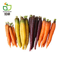 旭耕 有机三色胡萝卜 有机蔬菜套餐 甜脆水果红萝卜黄萝卜紫胡萝卜生吃即食组合 1500g