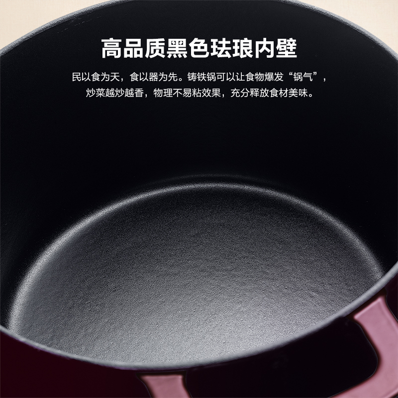 Fissler 菲仕乐 德国fissler菲仕乐Moments食光铸铁锅炖煲小汤锅家用慢炖锅 24厘米