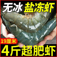 【京鲁苏豫】虾有虾途盐冻大虾新鲜17-19厘米4斤无冰冷冻青岛大虾
