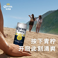 ABInbev 百威英博 CORONA科罗娜墨西哥风味啤酒330ml*12听装