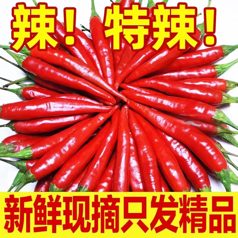 农大姐妹 米椒 新鲜特辣小米椒