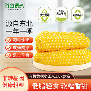 珍谷诱惑 东北有机小黄糯玉米1.6kg /9支