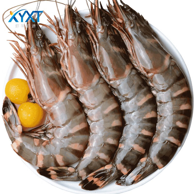 虾有虾途黑虎虾大虾对虾鲜虾海虾 生鲜 虾类海鲜轻食活冻虾超大虾类 15-17厘米500g*2盒【店长|】