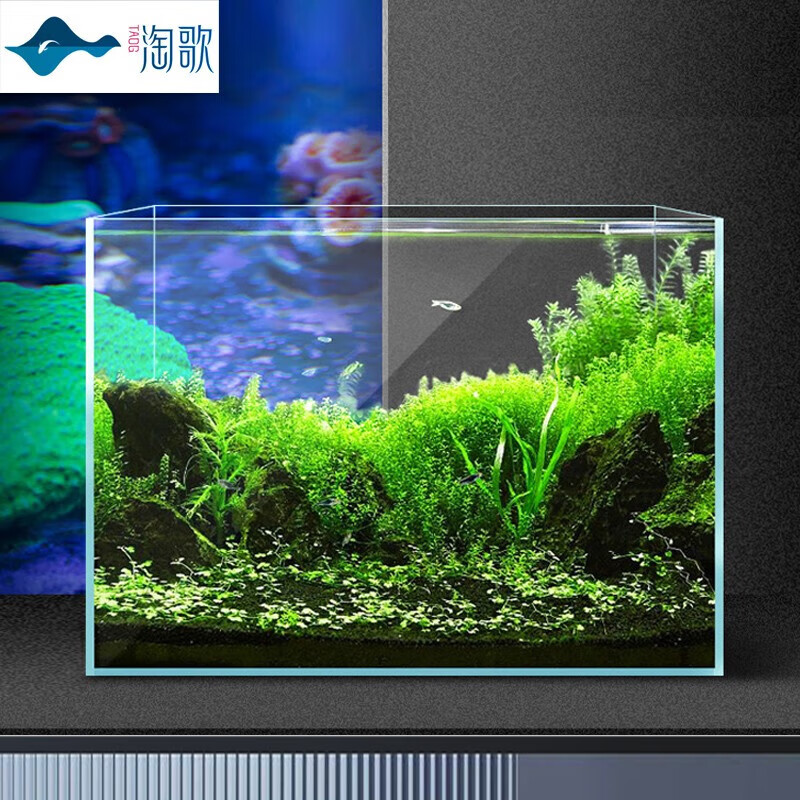 TG 淘歌 鱼缸超白玻璃水族箱桌面鱼缸居家水草缸 单缸400*220*270
