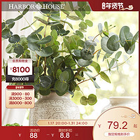HARBOR HOUSE HarborHouse美式家居饰品装饰仿真插花装饰绿叶仿真尤加利叶Brisk