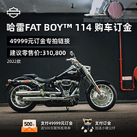 HARLEY-DAVIDSON 哈雷戴维森 电动车