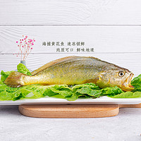 MIN XIA 闽峡 新鲜冷冻海捕大黄鱼4只/箱每条300g~350g宁德黄花鱼海鲜水产
