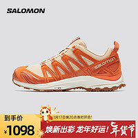 萨洛蒙（Salomon）男女款 户外运动舒适透气潮流穿搭新年款徒步鞋 XA PRO 3D SUEDE 浅褐色 475424 9.5 (44)