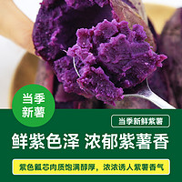 紫薯新鲜地瓜紫心蜜薯现挖沙地小番薯山芋农家自种5斤