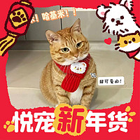 爆賣年貨：KUANFU 寬福 寵物圍巾