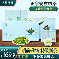 源聞白茶 2023年新茶 安吉白茶原产地新茶绿茶送礼礼盒装 明前特级白茶 尊贵礼盒装200克*1盒