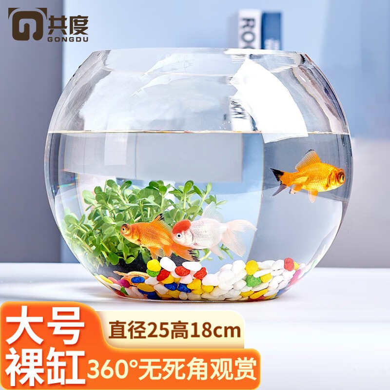 共度（Gong Du）桌面小鱼缸 圆形金鱼缸养鱼缸生态鱼缸 玻璃客厅家用办公室乌龟缸 大号裸缸  直径25CM 高度18cm