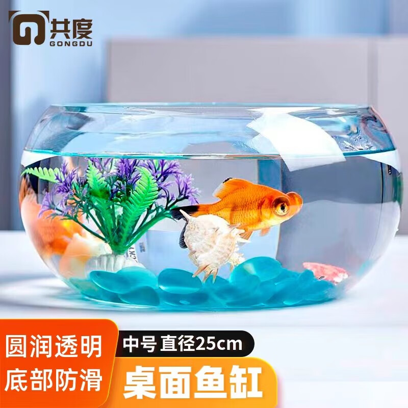 Gong Du 共度 玻璃鱼缸球形圆形缸生态草缸乌龟缸居家创意桌面水族箱观赏金鱼缸