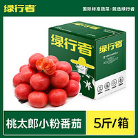 GREER 绿行者 桃太郎小粉番茄5斤单果60g生吃西红柿新鲜蔬菜现摘现发