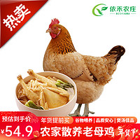 云依禾农庄 农家散养老母鸡土鸡柴鸡新鲜鸡肉 约2kg-2.5kg/只 老母鸡1只装