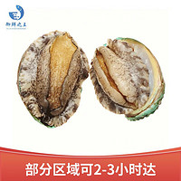 御鲜之王 鲜活鲍鱼500g 5-6只 海鲜水产贝类 烧烤食材