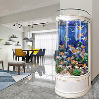 瑞龙半圆形鱼缸水族箱中大型家用客厅落地高清玻璃一键排水生态金鱼缸 金丝白 长50cm*宽50cm*高1.38米