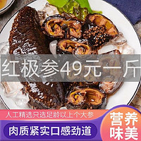 鲁王尔庄红极参即食冷冻海生鲜水产海参 鲁王尔庄 4斤 整只（家庭装）