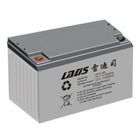 雷迪司（LADIS）100AH 铅酸免维护蓄电池 100AH 12V EPS 直流屏用  升级款