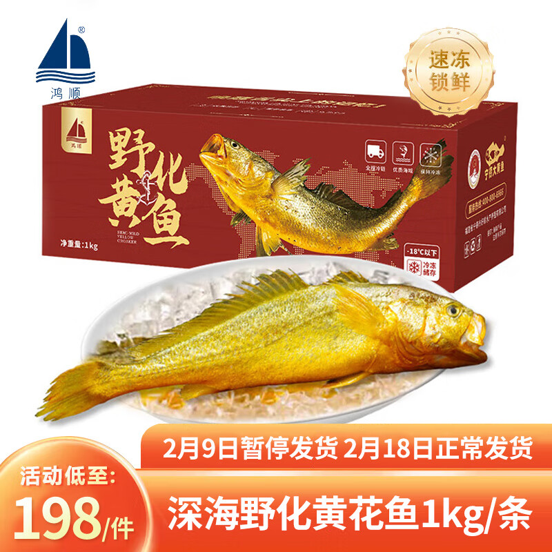 鸿顺深海野化黄花鱼1kg/条 海鲜年货礼盒 生鲜鱼类 冷冻 源头直发