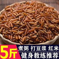 呆呆菇娘 红米5斤 红大米新米红粳米稻米红米杂粮粗纤维丰富红曲米煮粥材料