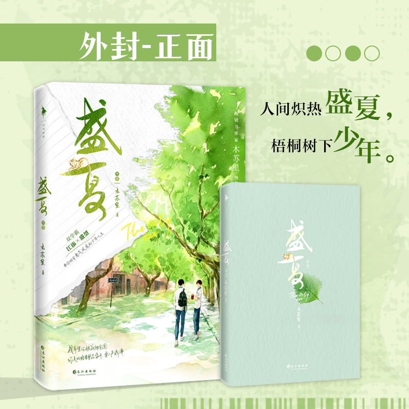 《盛夏》书作家 木苏里 双学霸 江添×盛望 言情小说 校园