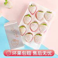 新鲜淡雪奶油白草莓礼盒新鲜水果有机天使草莓
