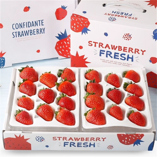柚萝大凉山奶油草莓 红颜99草莓新鲜水果 当季奶油草莓 1盒 单盒 20粒 (单盒净重300g+）