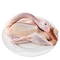 华英 赣南天养麻鸭 950g 新鲜鸭肉生鲜鸭子 散养土鸭新鲜食材