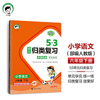 53单元归类复习 讲解版 考点梳理 小学语文 六年级下册 RJ 人教版 2024春季