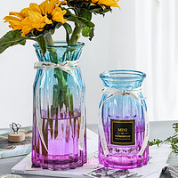 姝好 兩件套簡約創意玻璃花瓶水培鮮花富貴竹水養植物插花瓶客廳裝飾