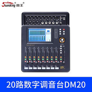 Soundking A20/DM20数字调音台专业直播舞台效果混音器带效果混响均衡 官方标配（DM20）