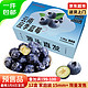 Mr.Seafood 京鲜生 国产蓝莓 12盒 14mm+ 新鲜水果礼盒 源头直发 包邮