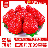 沙窝曙光（空运到家）丹东草莓99红颜奶油大草莓新鲜时令水果年货礼盒 【实惠】2斤大果装单果20-30g