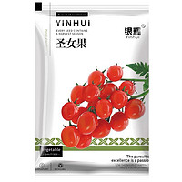 Silverlit 银辉 春季菜种大全适合春天种的菜籽盆栽 多款可选