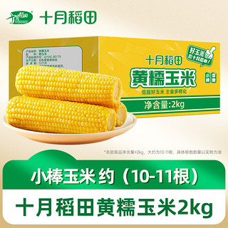 十月稻田 黄糯玉米2kg