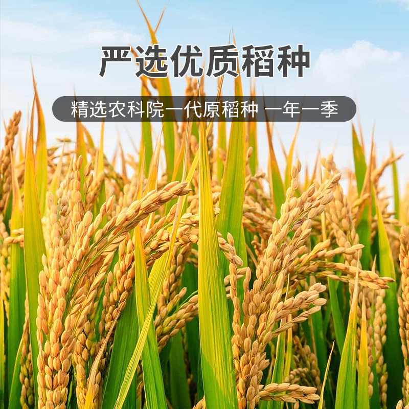万亩仓寒地香稻米25kg当季新米珍珠米50斤粳米稻花软香米含胚芽