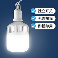 振牛 家用LED燈泡 10wE27螺口