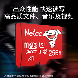 Netac 朗科 JOY 256GB TF(MicroSD)存储卡