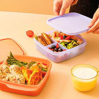 特百惠 纤巧分格午餐盒套装2件套 上班学生餐盒密封防漏便当盒便携饭盒