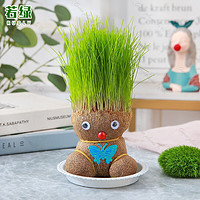 若绿 创意DIY长草娃娃水培观察盆栽室内趣味草头娃娃桌面绿植