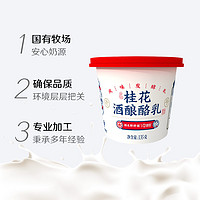 海河 牛奶酸奶桂花酒酿酪乳网红风味发酵乳135g*6盒箱营养酸奶