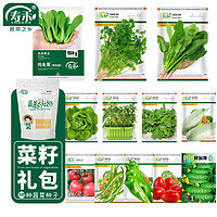 寿禾 12种蔬菜种子西红柿黄瓜鸡毛青菜菠菜香菜生菜 12种蔬菜种子套餐