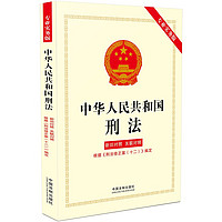 2024中华人民共和国刑法（专业实务版）：新旧对照、关联对照（根据《刑法修正案（十二）》定）