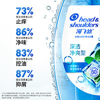 Head & Shoulders 海飞丝 止痒去味去屑洗发水 360g