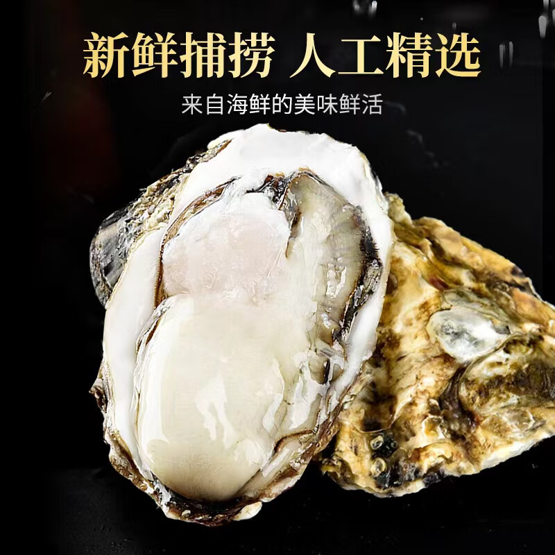 农美年乳山精品生蚝新鲜海鲜带壳4XL 牡蛎海蛎子5.5斤装  单个3-4两 乳山新鲜生蚝 净 重4.6斤